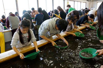 正月西伊豆旅行へ！その２（土肥金山で砂金採り挑戦！土肥の人気店で